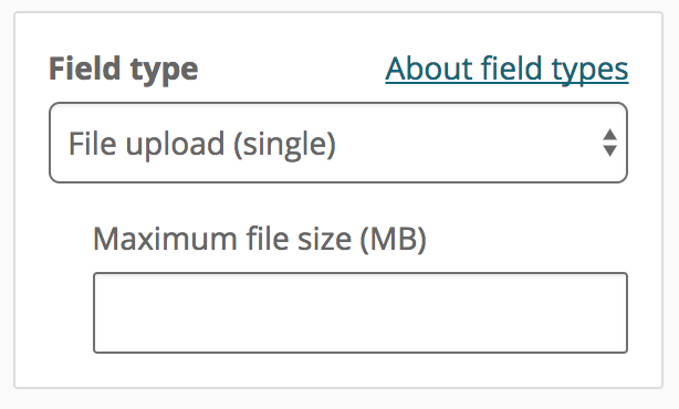 field-options-file-upload-single.png