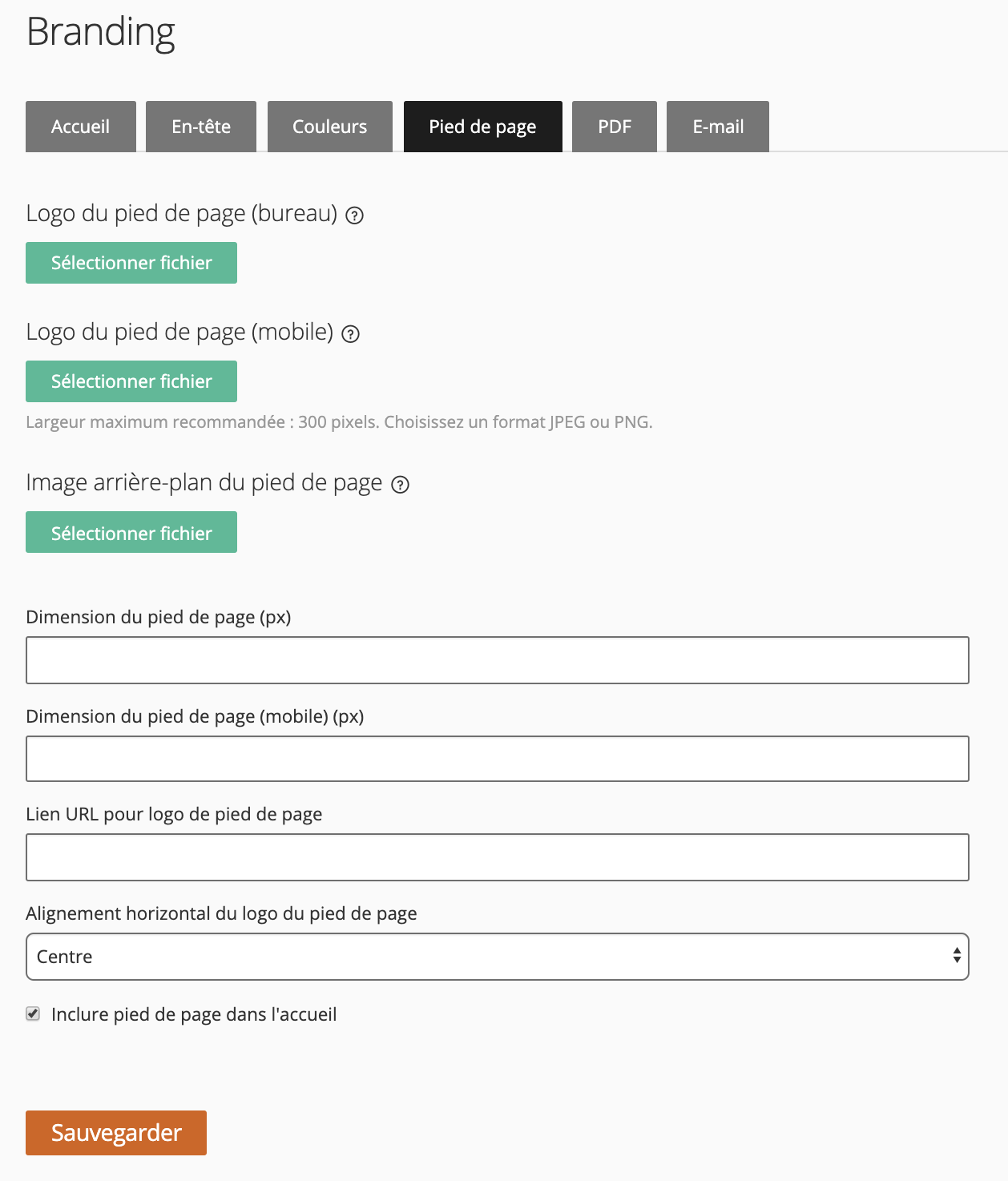 image montrant le contenu sous l'onglet Pied de page