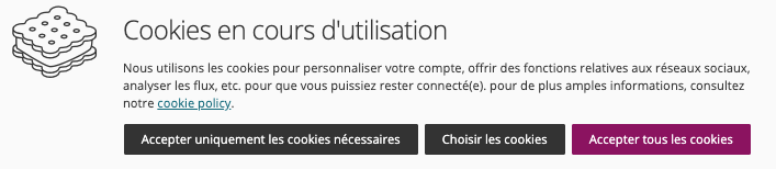 bannière présentant les options pour les cookies