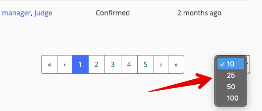 Page view toggle