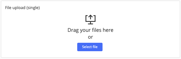 File upload field example