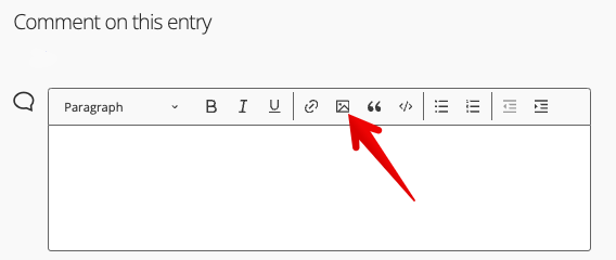 Judge file upload icon in commenting