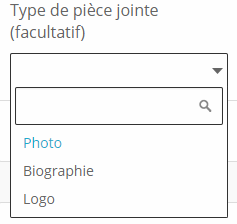 image_montrant_une_barre_de_recherche.png