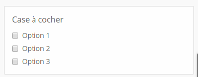 Liste_de_cases_a__cocher.png
