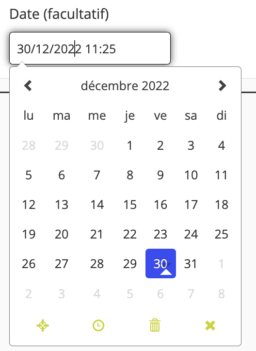 image_montrant_un_champ_de_type_date_et_heure.png