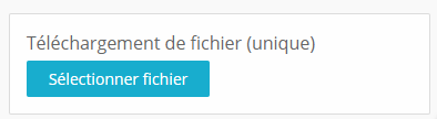 image_montrant_un_bouton_pour_te_le_charger_un_fichier.png