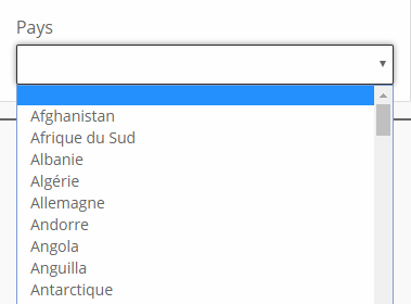 image_montrant_un_menu_de_roulant_avec_une_liste_de_pays.png