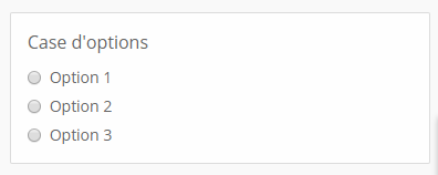 image_montrant_un_champ_de_type_case_d_options.png
