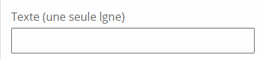 image_montrant_un_champ_de_type_texte_sur_une_seule_ligne.png