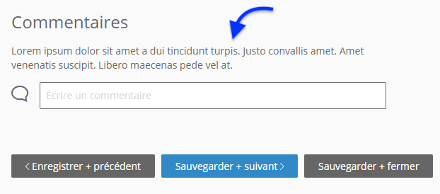 exemple_de_bloc_de_contenu_depuis_la_zone_commentaire_pour_les_membres_du_jury.png