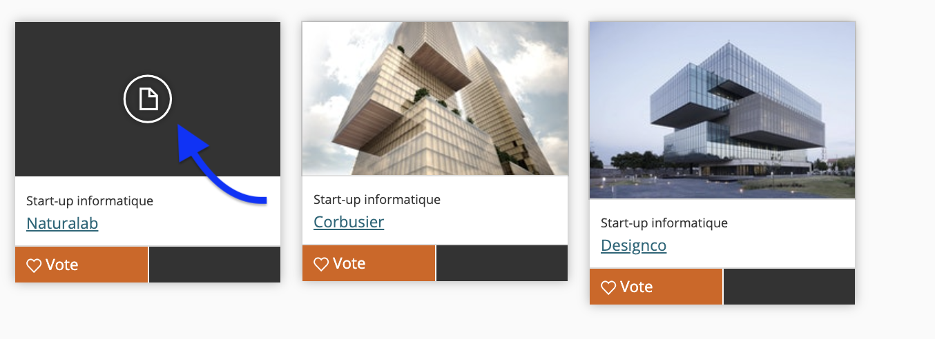 image_montrant_un_aperc_u_de_la_vignette_quand_aucune_image_est_pre_sente_dans_la_candidature.png