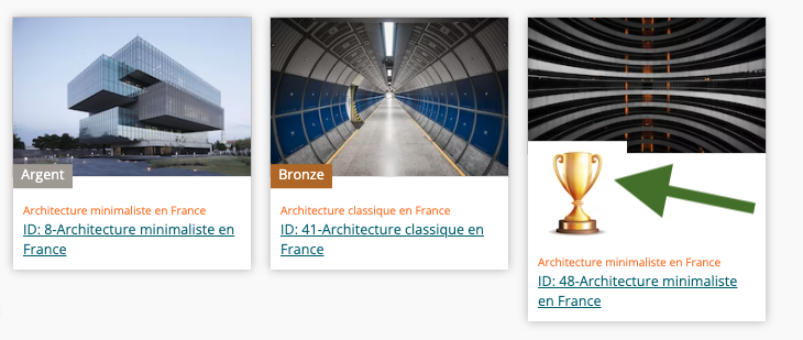 image_montrant_un_badge_de_type_image.png