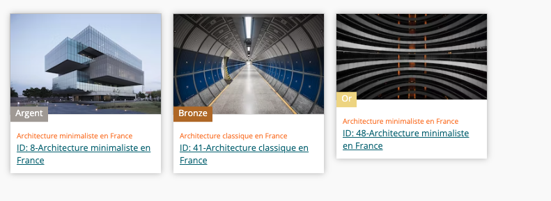 image_montrant_des_badges_depuis_une_galerie.png